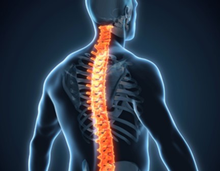 spinal inflammation THE ASHGABAT TIMES