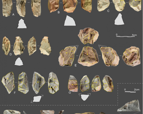 В-Китае-нашли-новое-место-жительства-неандертальцев