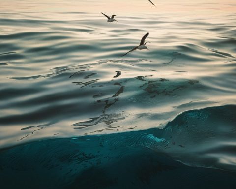 Самое-мощное-в мире-океаническое-течение-замедлится-к 2050-году