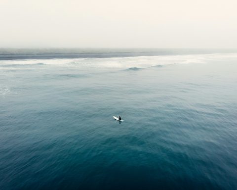 Ученые-впервые-составили-полную-карту-вихрей-Камчатского-течения-за 30-лет