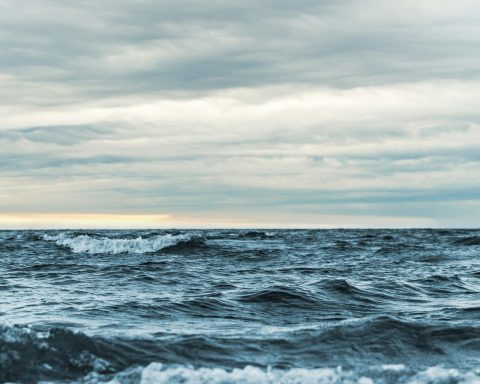 В-России-разработали-нейросеть-для-оценки-уровня-углекислого-газа-в-океанах