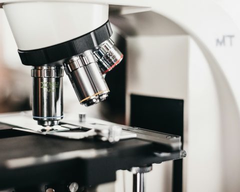 Российские-учёные-улучшили-технологию-проверки-препаратов-для-лечения-рака