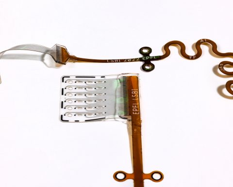 Ученые-разработали-мягкий-слуховой-имплант-ствола-мозга