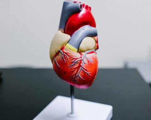 Хирург:-курение,-пристрастие-к-жирному-и-сладкому-—-привычки,-ведущие-к-инфаркту