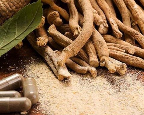 Ашваганду-назвали-лучшим-растением-для-снятия-стресса