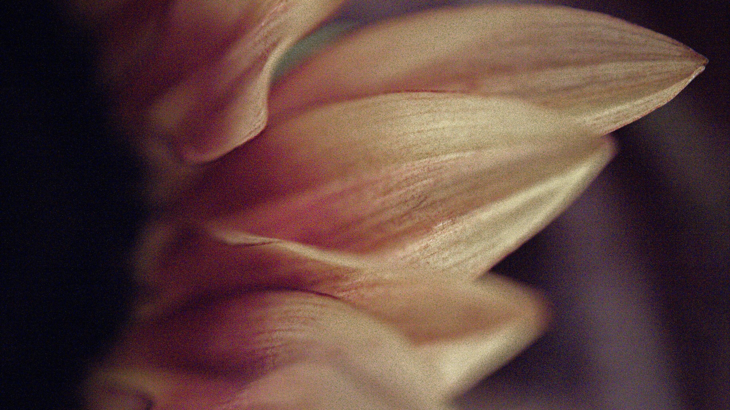 Российские-учёные-придумали-«цветочное»-антимикробное-покрытие