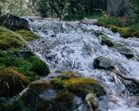 Роспотребнадзор-рассказал-об-опасности-питья-родниковой-воды-весной