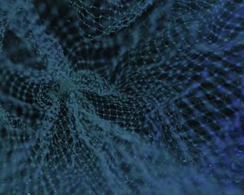 Более-21-млн-телефонных-номеров-россиян-утекли-в-сеть-с-начала-2025-года