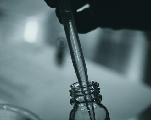 Учёные-разработали-технологию-переработки-углекислого-газа-в-муравьиную-кислоту