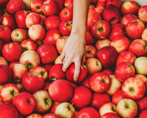 Яблоки-и-не-только:-в-каких-продуктах-больше-всего-бора-для-здоровья-костей