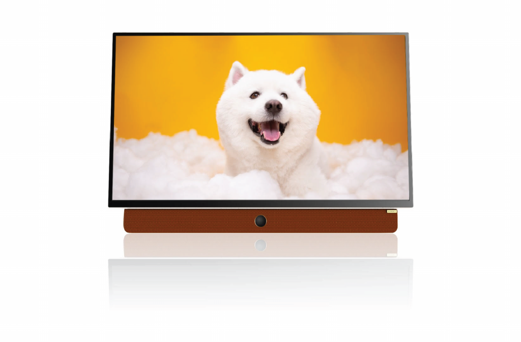 В-России-начнутся-продажи-портативного-телевизора-с-защитой-зрения-skyworth-24p2e