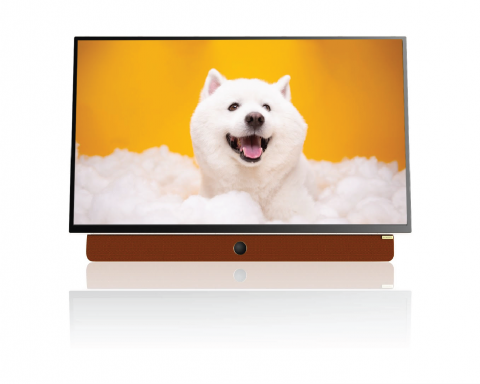 В-России-начнутся-продажи-портативного-телевизора-с-защитой-зрения-skyworth-24p2e