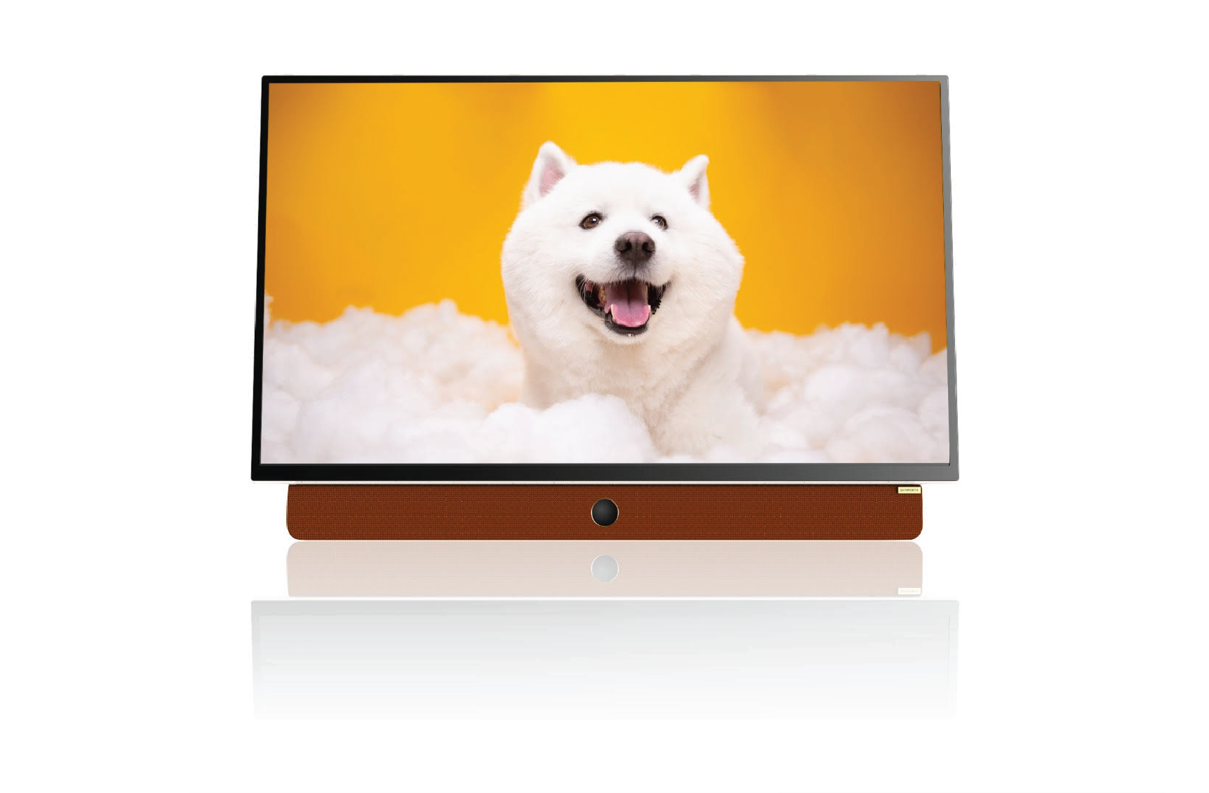 В-России-начнутся-продажи-портативного-телевизора-с-защитой-зрения-skyworth-24p2e