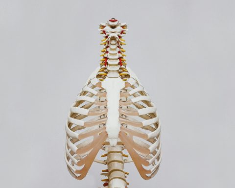 Российские-учёные-улучшили-производство-костных-имплантов