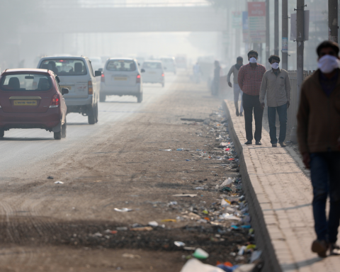Эксперт-рассказал,-чем-опасны-выхлопные-газы-для-здоровья-людей-и-животных