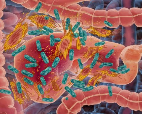 Пересадка-кала-помогла-в-борьбе-с-алкогольной-зависимостью