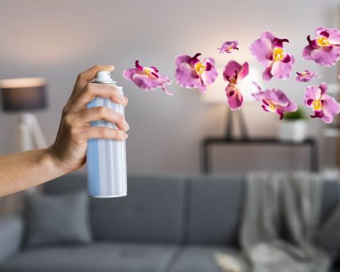 Эфирные-масла-и-другие-натуральные-альтернативы-освежителей-воздуха