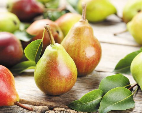 Груши-и-не-только:-фрукты,-в-которых-клетчатки-больше,-чем-в-яблоке