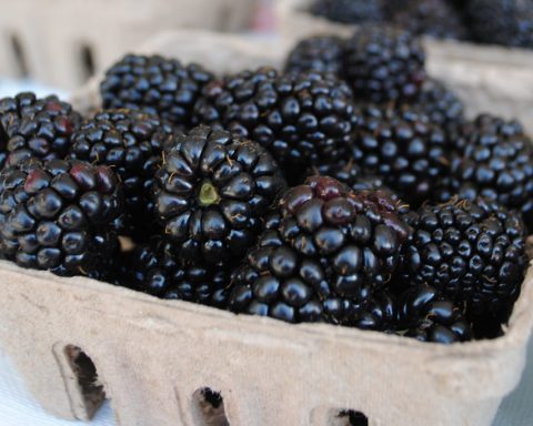 Ежевика-и-другие-продукты,-в-которых-полезных-антоцианов-больше,-чем-в-чернике