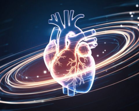 В-России-выяснили,-как-магнитное-поле-влияет-на-работу-сердца