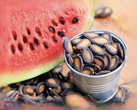 Диетологи-рассказали,-чем-полезны-для-здоровья-арбузные-семечки