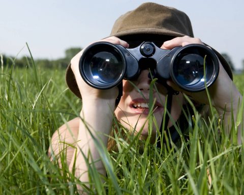 Учёные-объяснили,-как-меняется-наше-поведение,-когда-за-нами-наблюдают