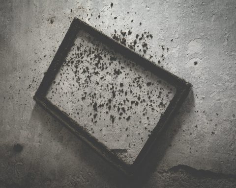 Врач-рассказала-о-влиянии-на-дыхательную-систему-чёрной-плесени-—-опасного-грибка