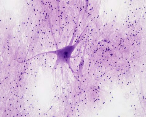 В-России-разработали-недорогой-способ-создания-искусственных-нейронов