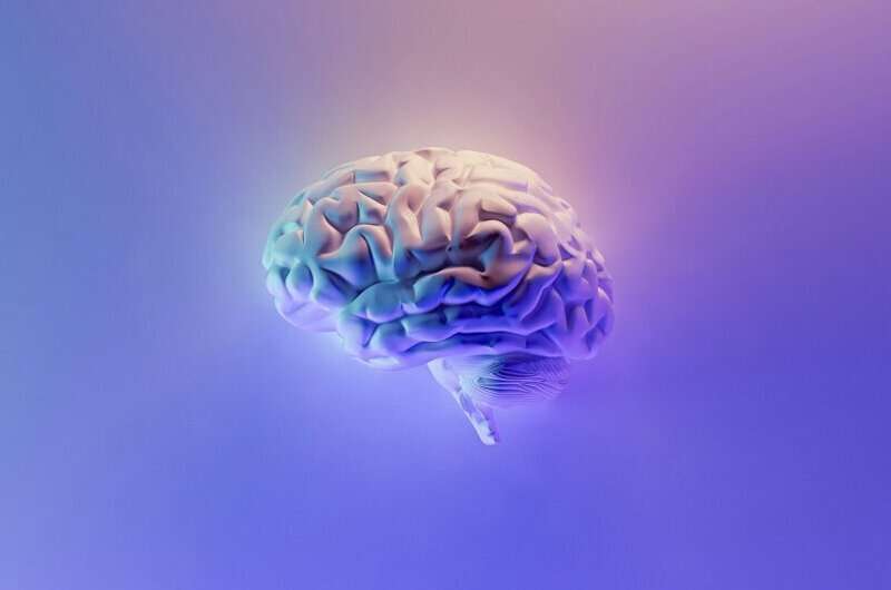 У-подростков-с-ожирением-некоторые-области-мозга-оказались-больше