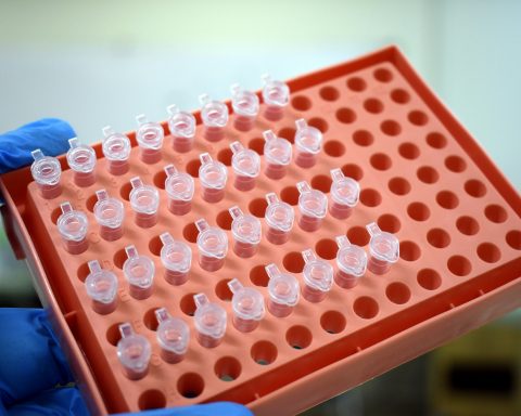 Российские-учёные-получили-новые-вещества-для-обезболивающих-препаратов