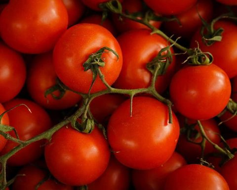Поддержание-работы-сердца-и-другие-преимущества-томатов-для-здоровья