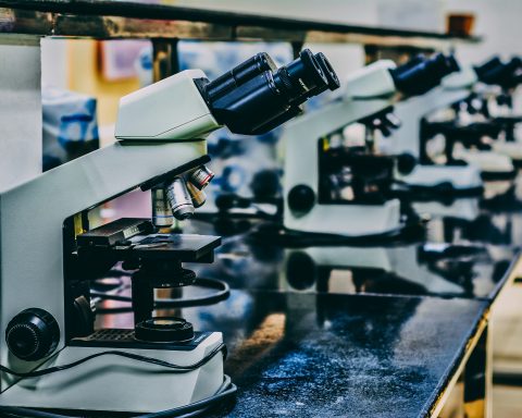 В Подмосковье-будут-разрабатывать-антитела-для-лечения-онкологии