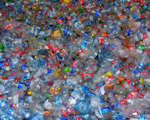 Создан-новый-способ-переработки-пластика