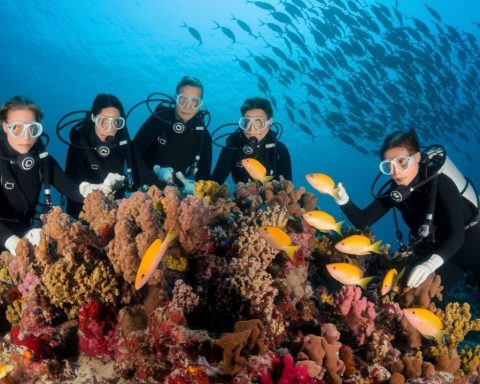 Ученые-оценят-экосистему-Азовского-моря-для-сохранения-рыбных-ресурсов