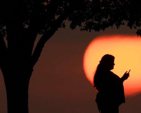 Делайте-“активные-перерывы”:-эксперты-рассказали,-как-улучшить-концентрацию-внимания