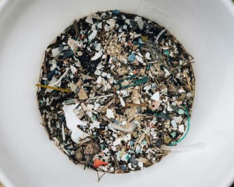 Учёные-обнаружили,-что-вдыхаемый-микропластик-подавляет-иммунные-клетки-в-лёгких