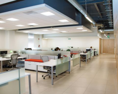 Большинство-россиян-используют-нейросети-для-поиска-ответов-на-рабочие-вопросы