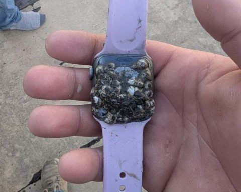 Пользователю-apple-watch-вернули-девайс,-полгода-пролежавший-в-морской-воде