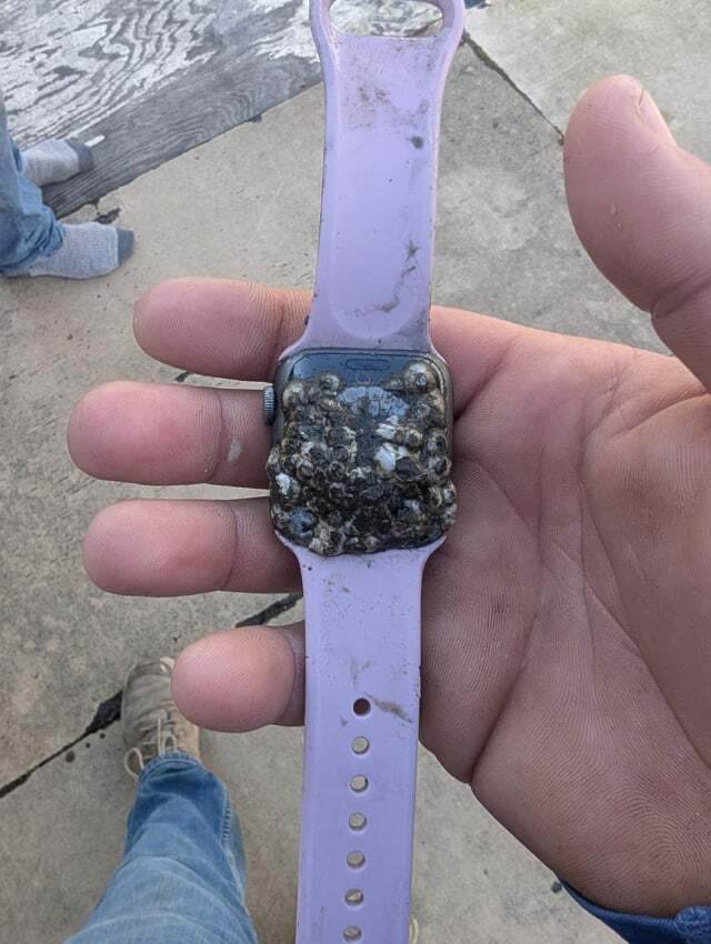 Пользователю-apple-watch-вернули-девайс,-полгода-пролежавший-в-морской-воде