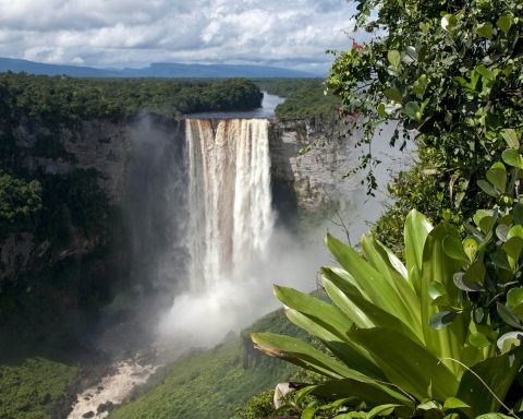 Гайана-оказалась-единственной-страной,-которая-производит-все-продукты-питания-без-импорта