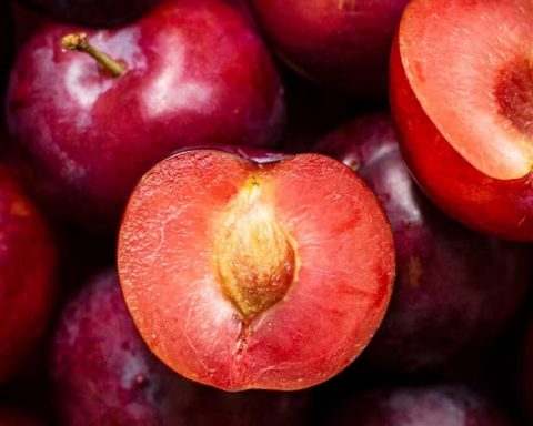 Слива-помогла-контролировать-уровень-сахара-в-крови