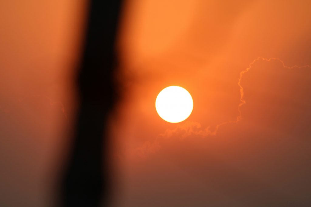 Учёный-объяснил-природу-гигантской-«птицы»-возле-Солнца