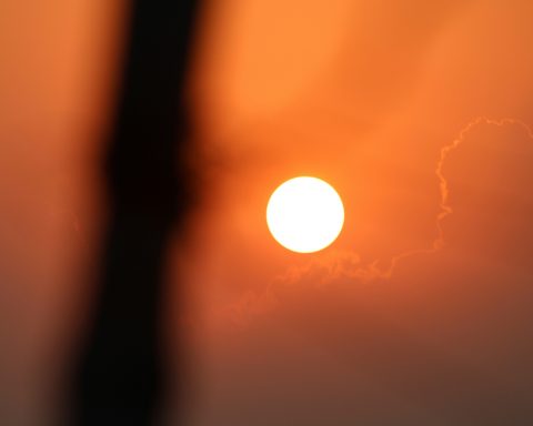 Учёный-объяснил-природу-гигантской-«птицы»-возле-Солнца