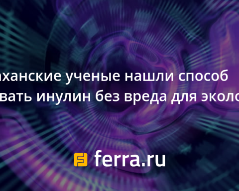 Астраханские-ученые-нашли-способ-добывать-инулин-без-вреда-для-экологии