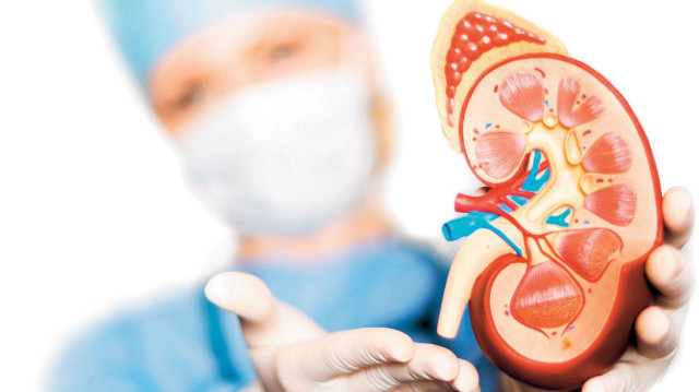 3151c2d0 g38rdi8d9r59ebapljm78r THE ASHGABAT TIMES