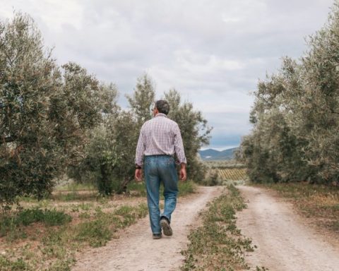 Сутулость-и-не-только:-какие-привычки-при-ходьбе-старят-вас