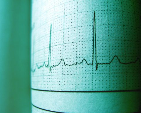 Жиры-и-холестерин:-как-связаны-показатели-здоровья-с-болезнью-Альцгеймера