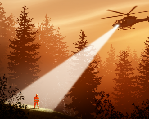 Сервис-для-быстрого-поиска-пропавших-людей-запустили-МТС-и «ЛизаАлерт»