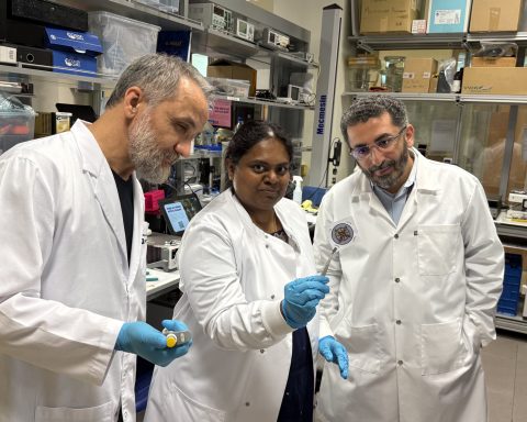 Ученые-создали-бумажный-тест,-выявляющий-вирусы-за 10-минут