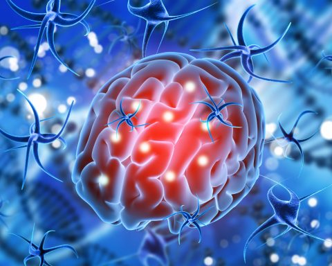 Иммунолог:-обитающая-в-пресных-водоёмах-амёба-«мозгоед»-смертельно-опасна